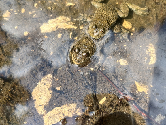 23-05-22 15-06-29 5562